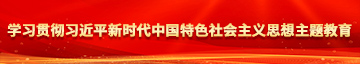 鸡巴日多毛B网学习贯彻习近平新时代中国特色社会主义思想主题教育